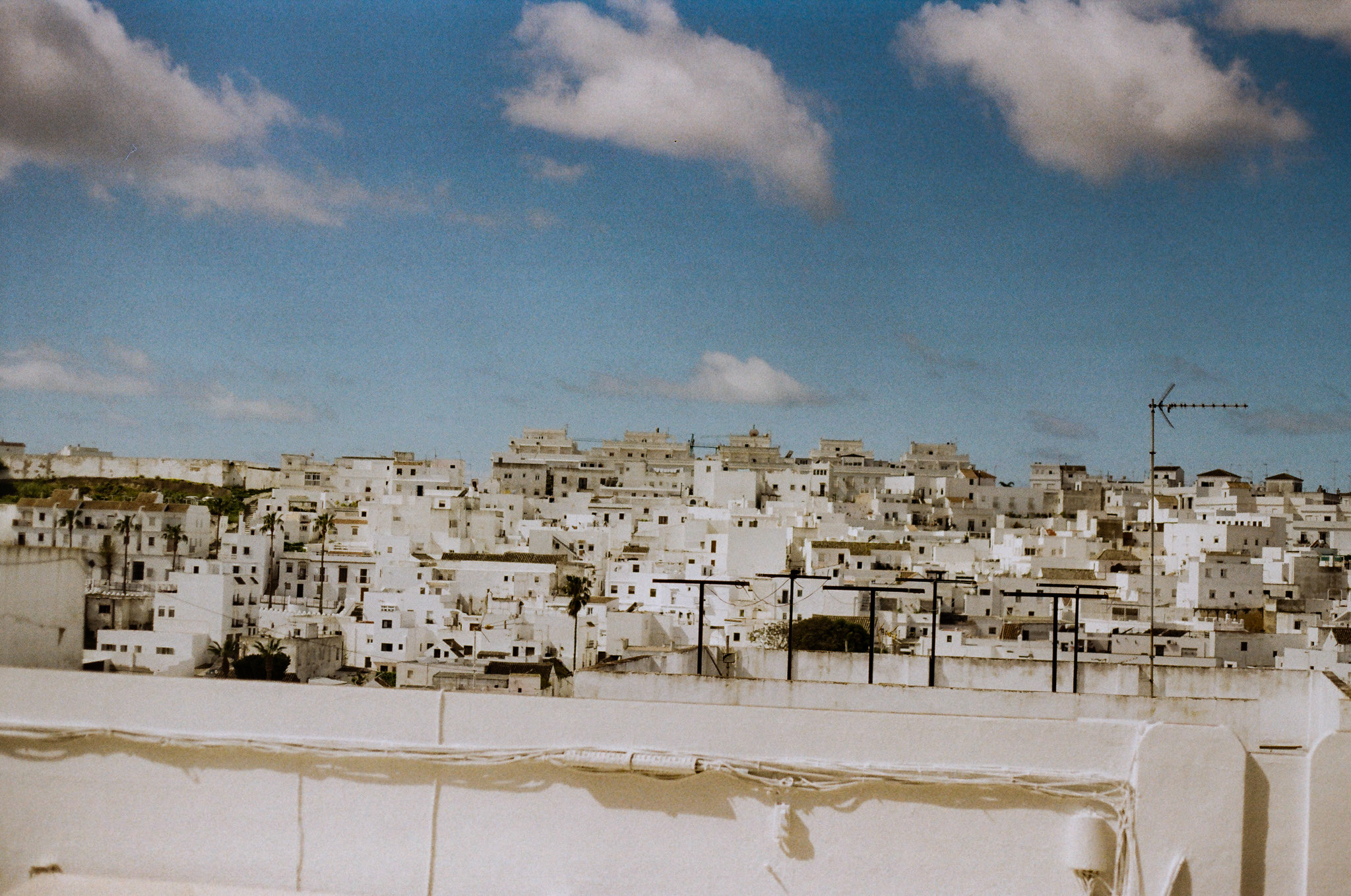 color-film - 8.jpg
